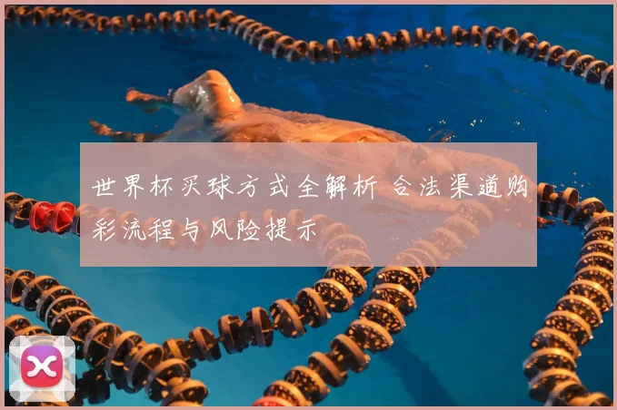 世界杯买球方式全解析 合法渠道购彩流程与风险提示