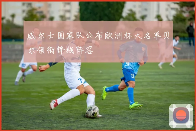 威尔士国家队公布欧洲杯大名单贝尔领衔锋线阵容