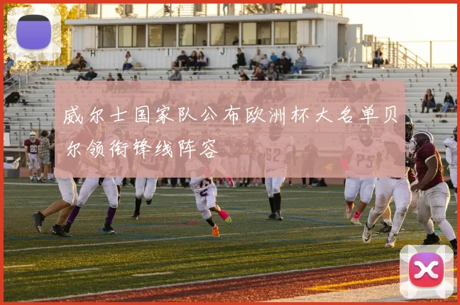 威尔士国家队公布欧洲杯大名单贝尔领衔锋线阵容