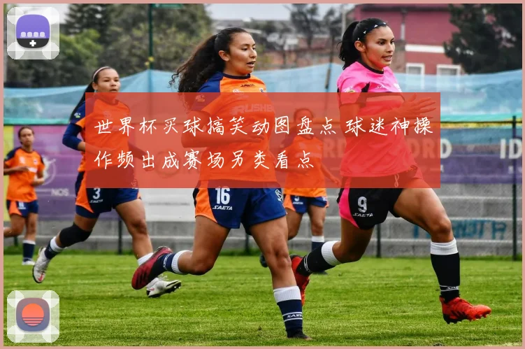 世界杯买球搞笑动图盘点 球迷神操作频出成赛场另类看点