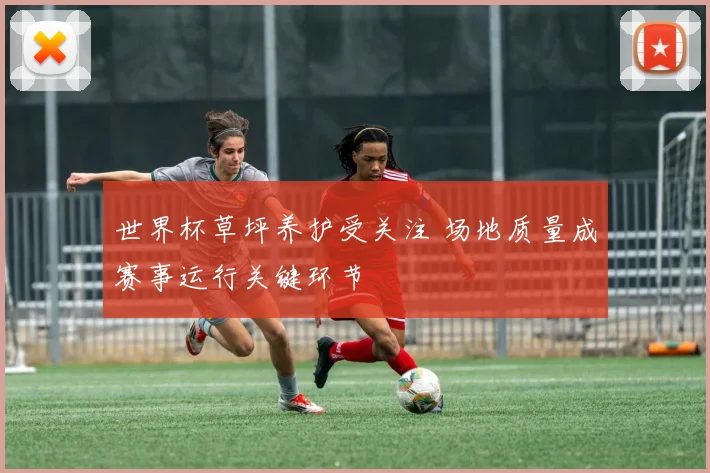 世界杯草坪养护受关注 场地质量成赛事运行关键环节