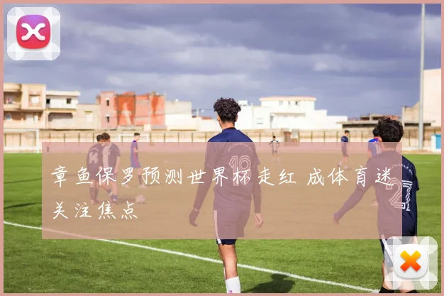章鱼保罗预测世界杯走红 成体育迷关注焦点