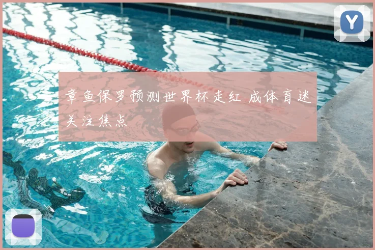 章鱼保罗预测世界杯走红 成体育迷关注焦点