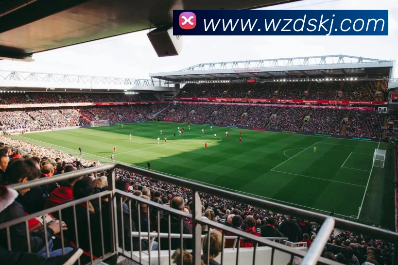 App Interface Preview