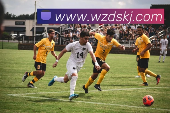 千亿官网登录入口APP 封面图